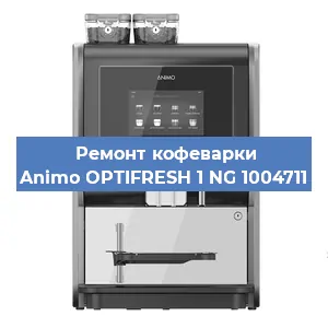 Чистка кофемашины Animo OPTIFRESH 1 NG 1004711 от кофейных масел в Москве